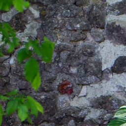 Stone