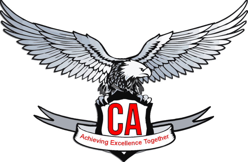 Ca Final Mock Test Series