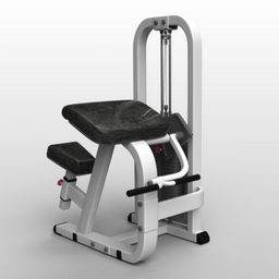 gym biceps 3D Model Preview #b13ac735
