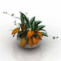 Download 3D Plants