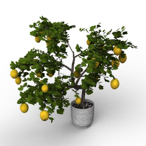 Lemon Tree 3D Model Preview #fc9a828c