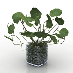 Download 3D Plant
