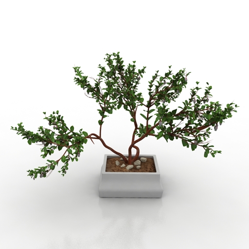 Vase Manzanita bonsai decor 3D Model Preview #bb018fc8