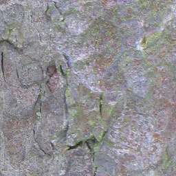 Bark