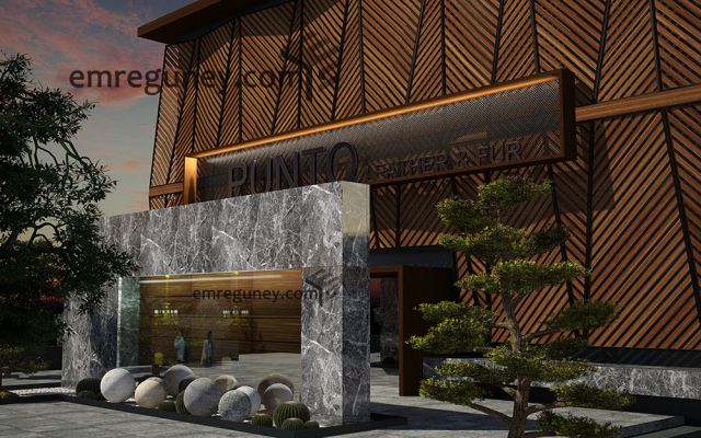 Architectural Home Design