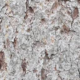 Bark