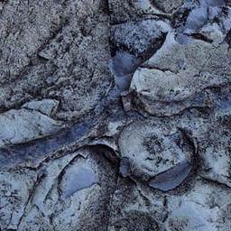Stone