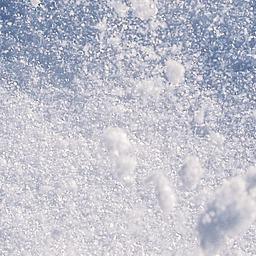 Snow