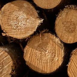 Logs