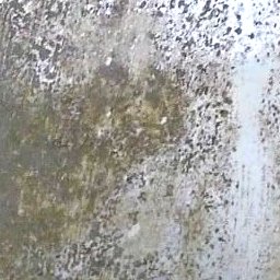 Tile