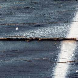 Planks