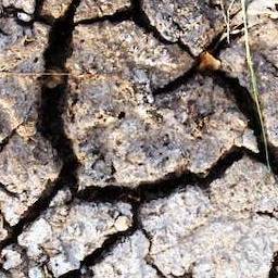 Ground