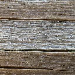 Wood