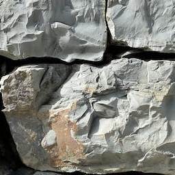 Stone