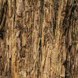 Bark