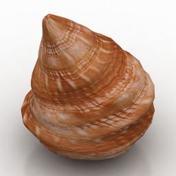 3D Shell preview