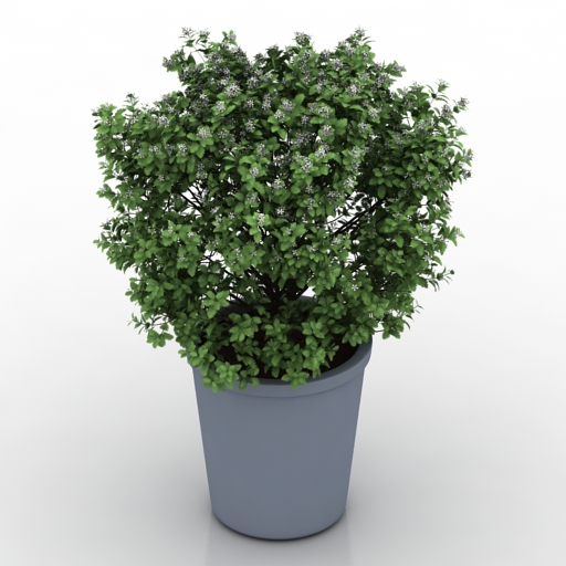 Plant White butterfly pot 3D Model Preview #5e163132