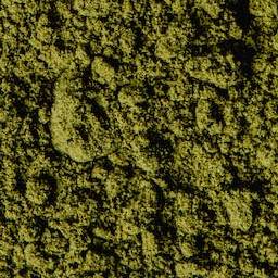 Moss