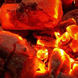 Coal