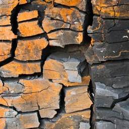 Stone