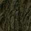 Bark
