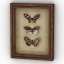 3D "Butterfly Collection Wall Pictures Set" - Interior Collection