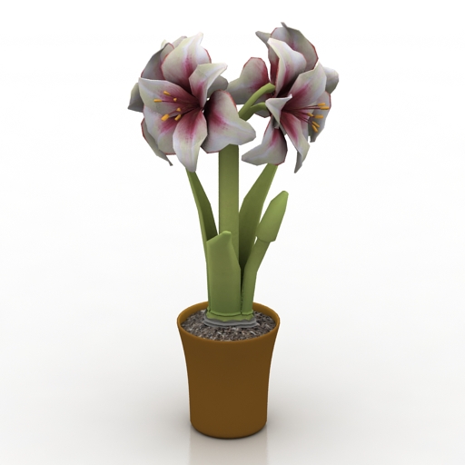 Flower hippeastrum 3D Model Preview #e5d3c6c3