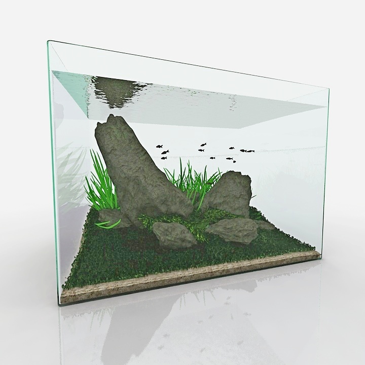 Aquascaping Ishigumi Aquarium 3D Model Preview #f3fd2e87