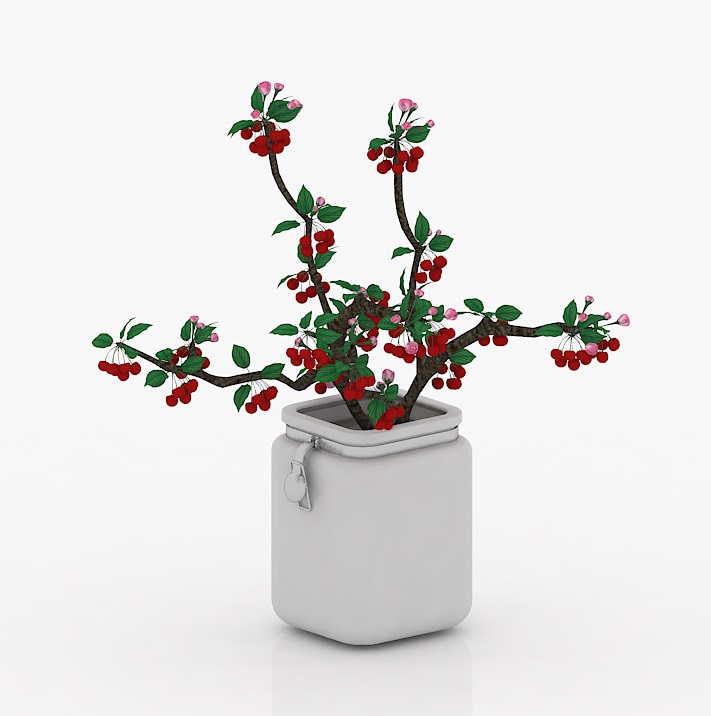 vase decor cherry 3D Model Preview #3d019375