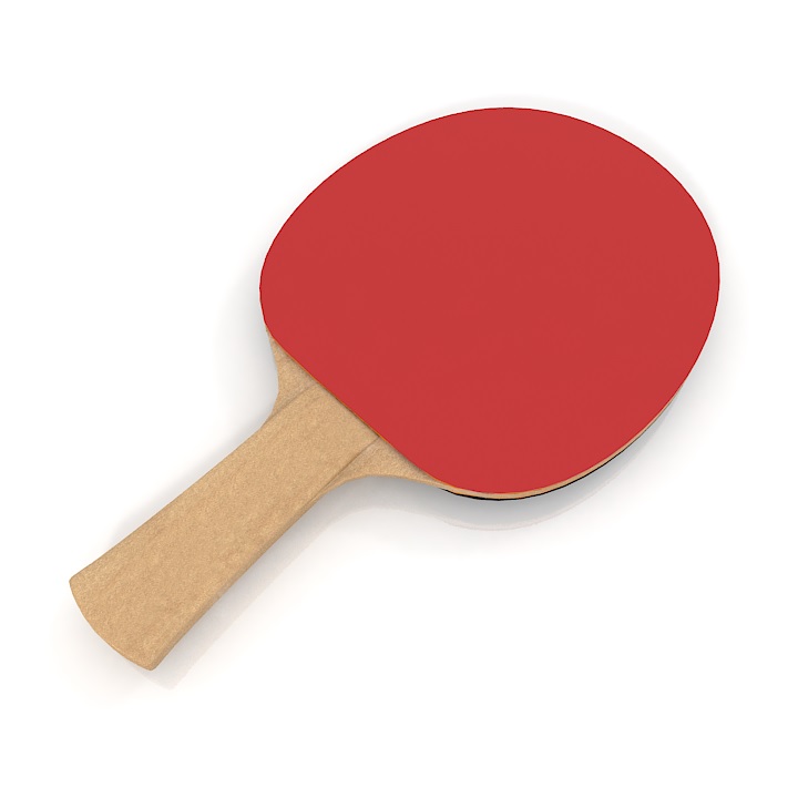 ping pong racket 3D Model Preview #df7eafcf