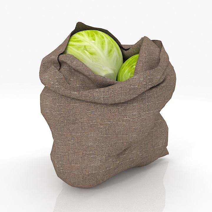 sack cabbage 2 3D Model Preview #4f22a08e