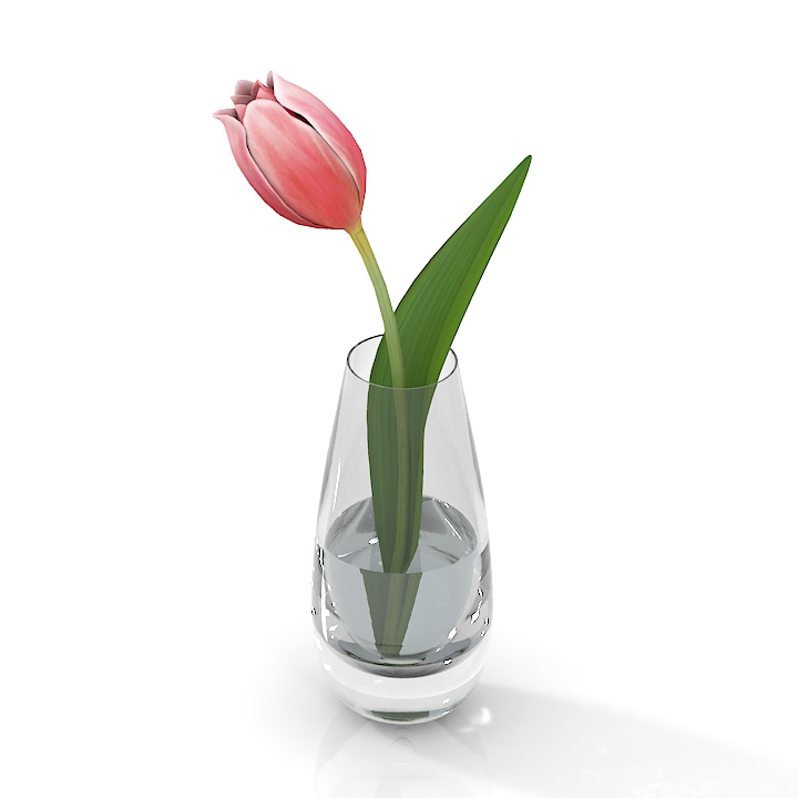tulip vase flower decor 3D Model Preview #2c7b1f0a