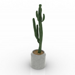 Download 3D Cactus