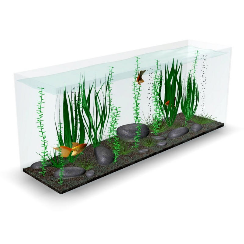 Aquarium