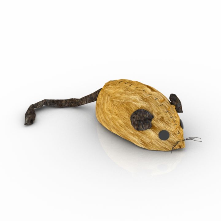 Mouse